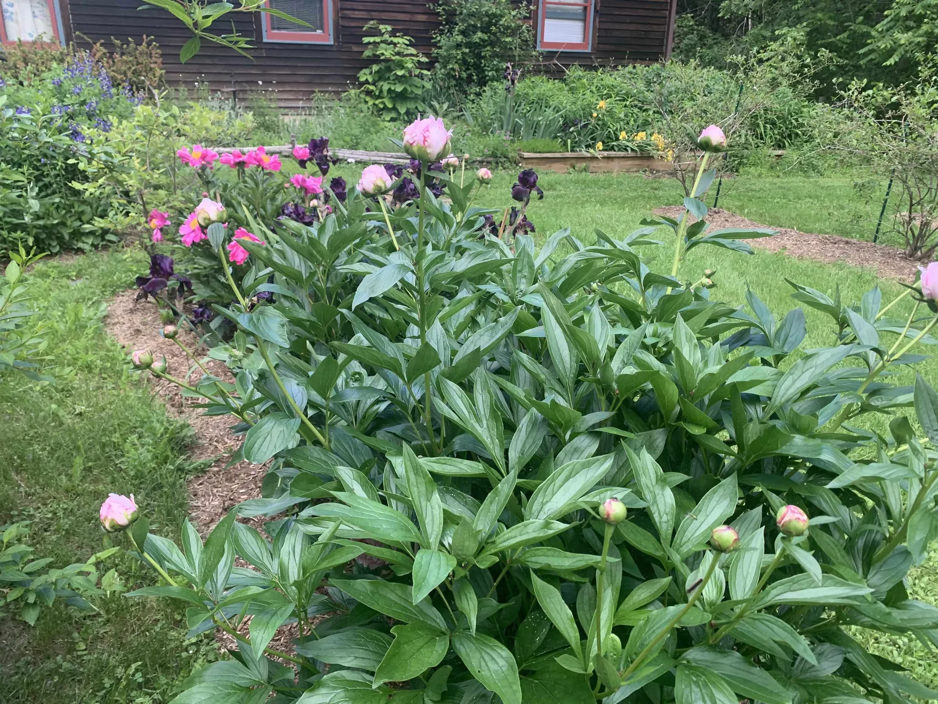 97 Pond Brook Road Hinesburg VT 05461