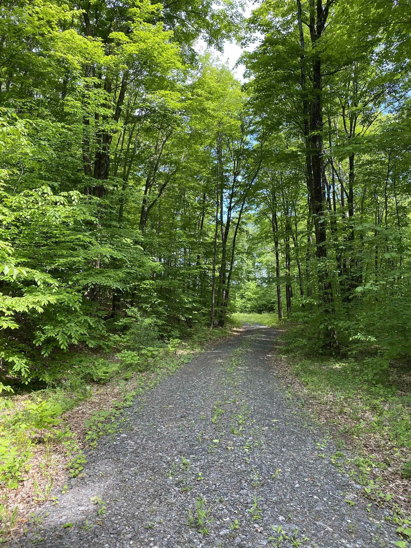 80 Sawyer Hill Road Tunbridge VT 05077