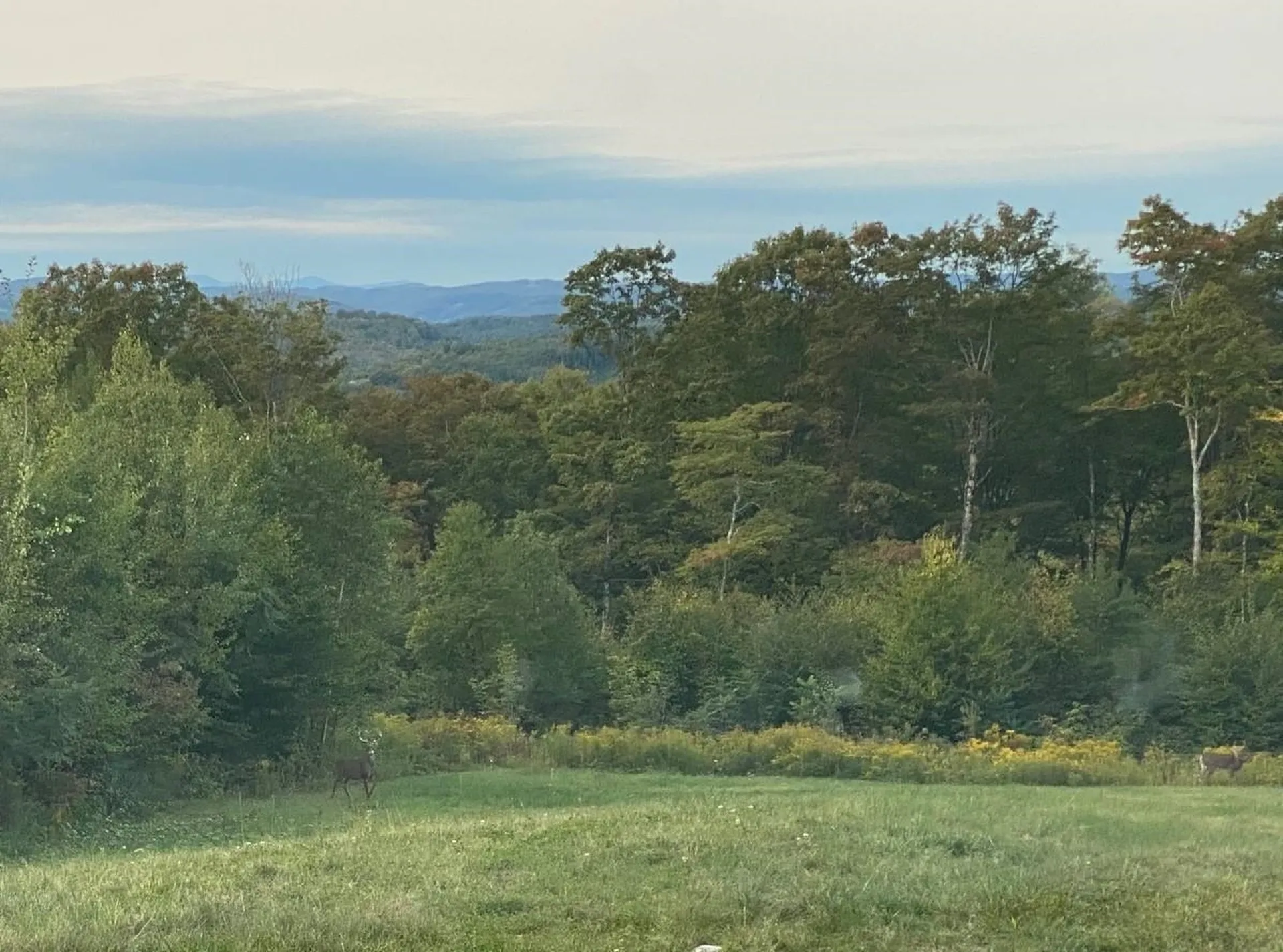 80 Sawyer Hill Road Tunbridge VT 05077