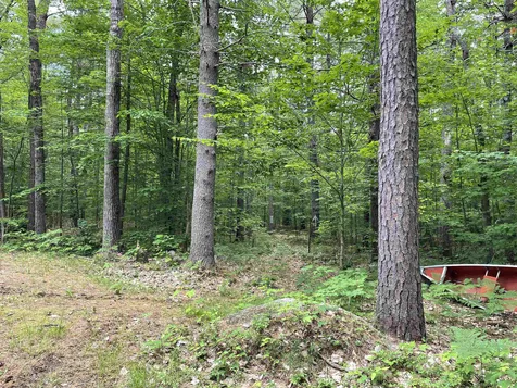 135 Pine River Path Effingham NH 03882