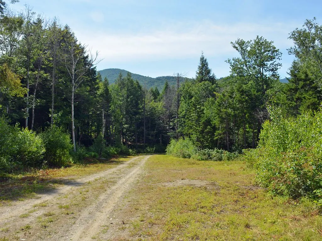 00 Black Bear Pass Drive Fayston VT 05673