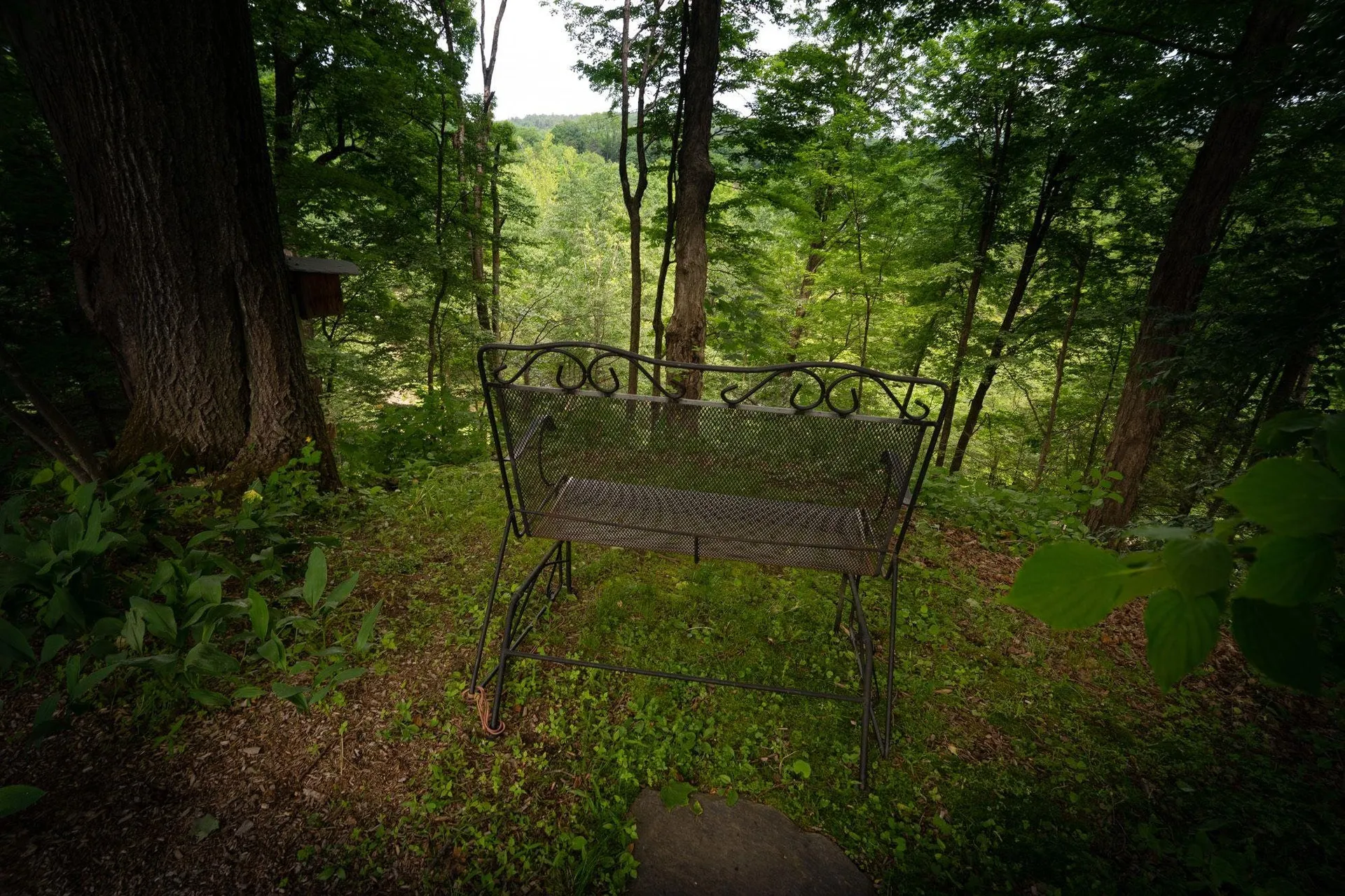 160 Guilford Street Brattleboro VT 05301