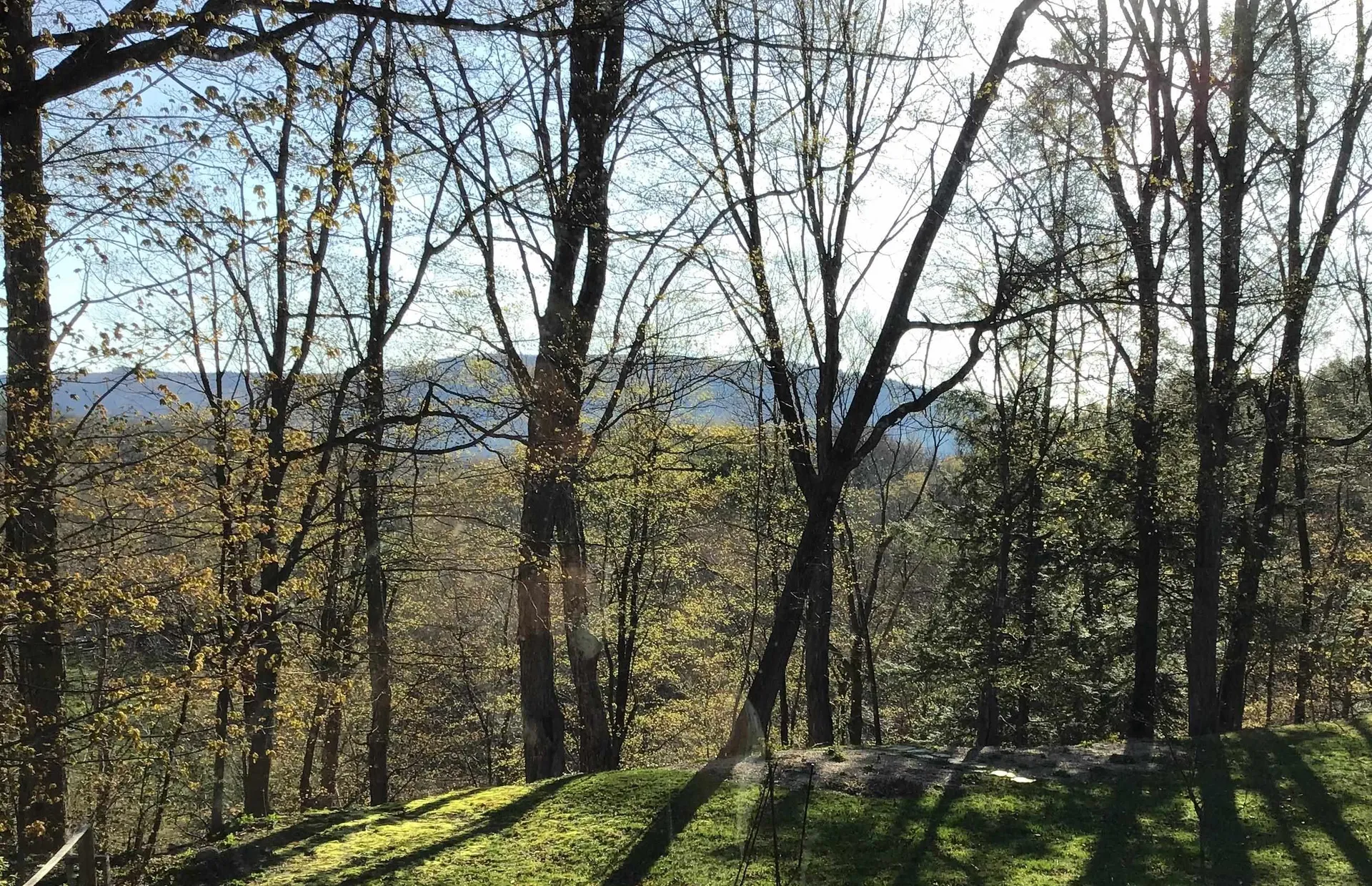 160 Guilford Street Brattleboro VT 05301