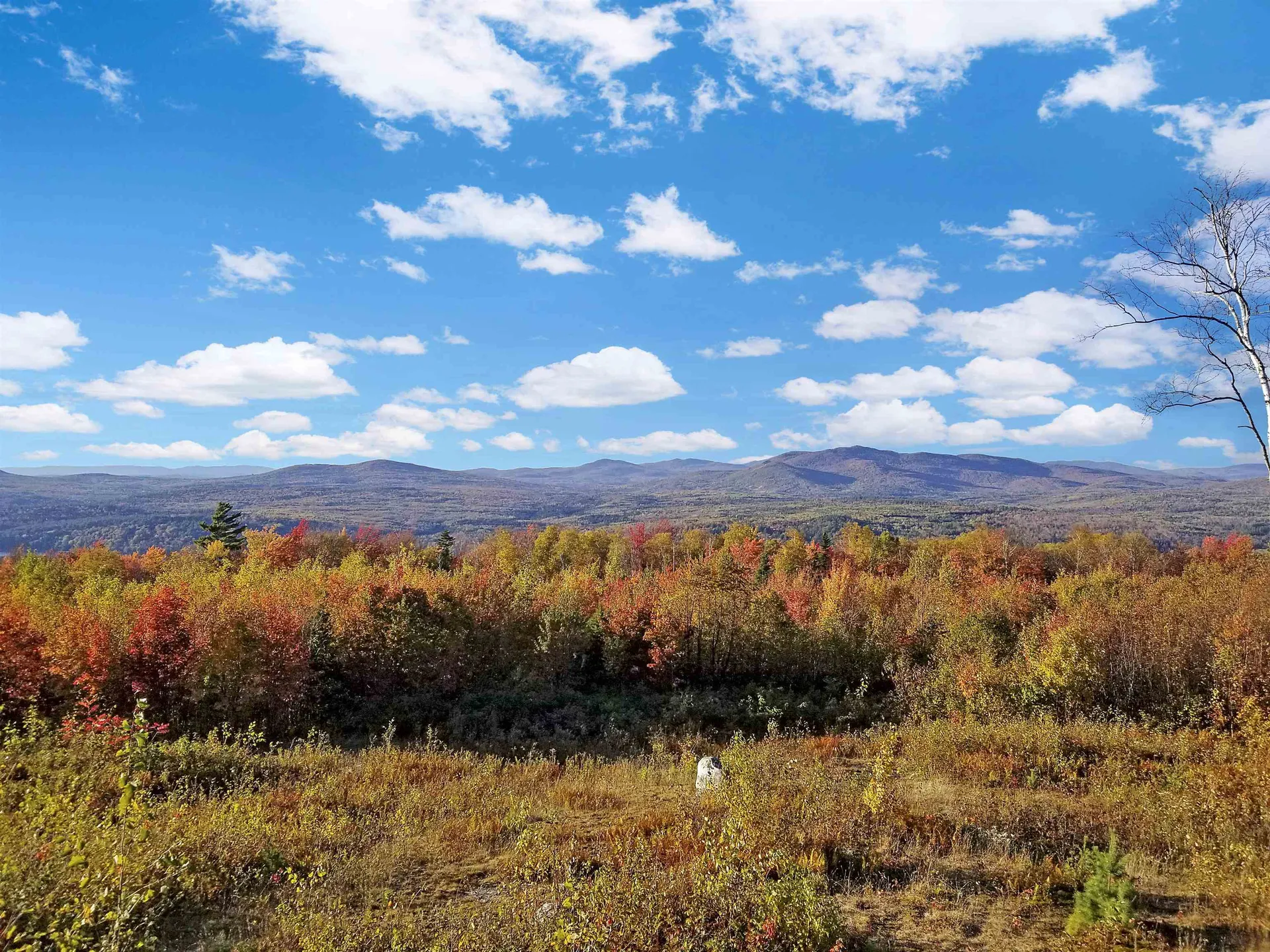 333 Osgood Farm Road Littleton NH 03561