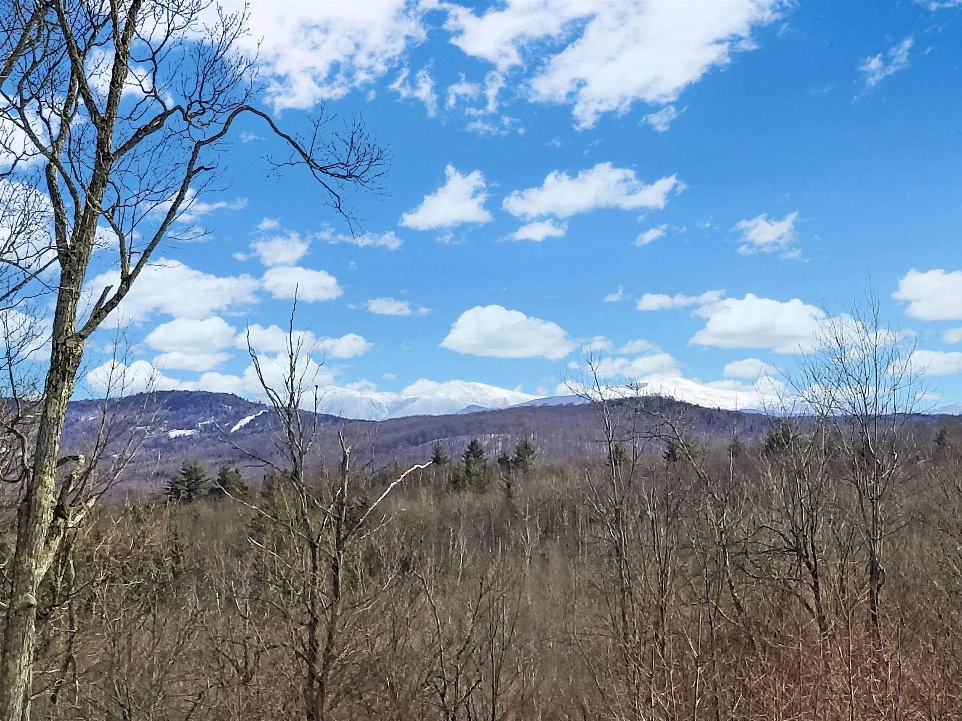 333 Osgood Farm Road Littleton NH 03561