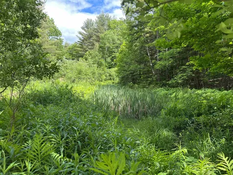 1700 North Puckerbrush Road Reading VT 05062