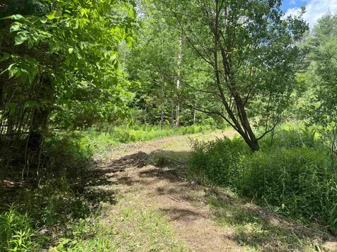1700 North Puckerbrush Road Reading VT 05062