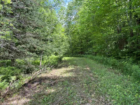 1700 North Puckerbrush Road Reading VT 05062