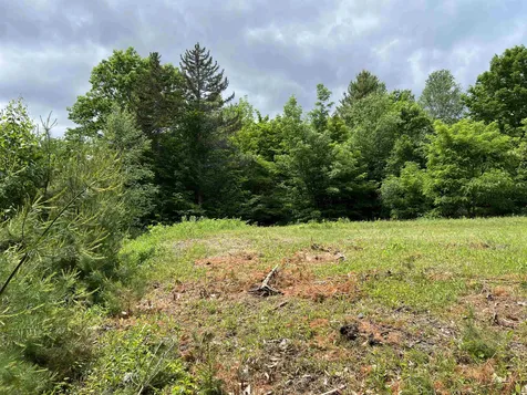 1700 North Puckerbrush Road Reading VT 05062