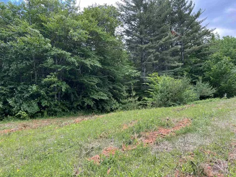 1700 North Puckerbrush Road Reading VT 05062