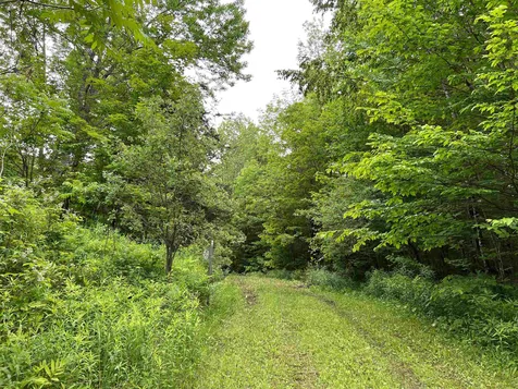 1700 North Puckerbrush Road Reading VT 05062