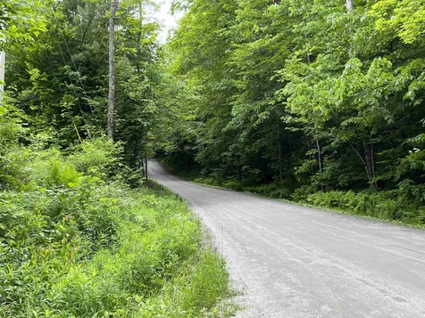 1700 North Puckerbrush Road Reading VT 05062