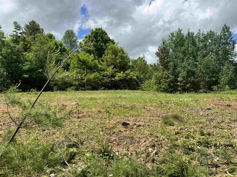 1700 North Puckerbrush Road Reading VT 05062