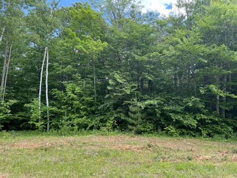 1700 North Puckerbrush Road Reading VT 05062