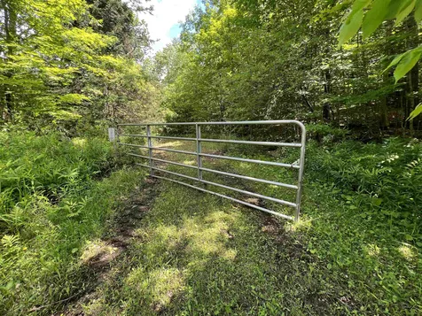 1700 North Puckerbrush Road Reading VT 05062