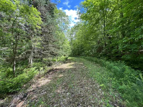 1700 North Puckerbrush Road Reading VT 05062
