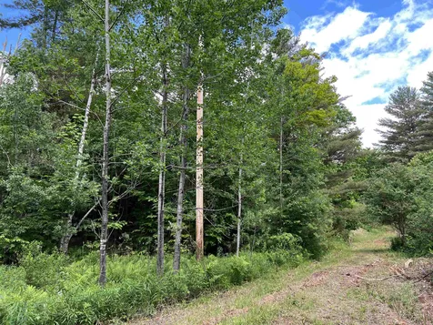 1700 North Puckerbrush Road Reading VT 05062