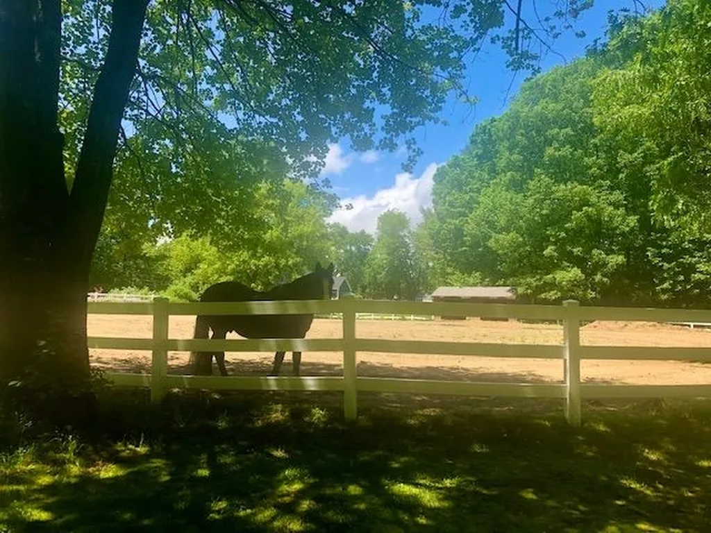 11 Morrison Road Windham NH 03087