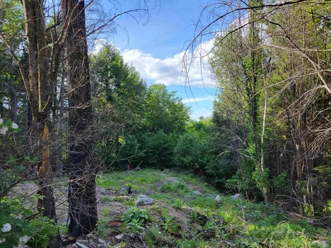 85 Alberg Drive Conway NH 03818