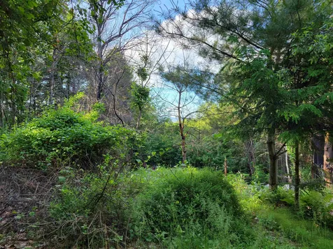 85 Alberg Drive Conway NH 03818