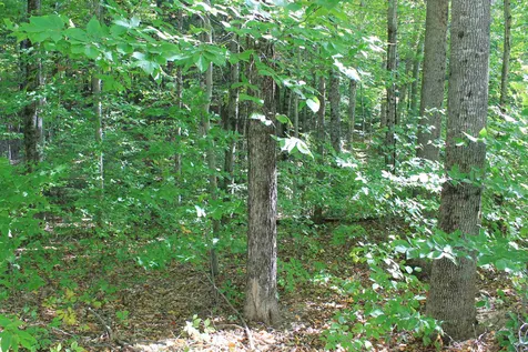 171 South Peak Road Lincoln NH 03251