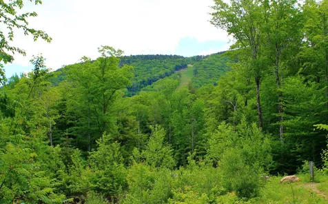 128 South Peak Road Lincoln NH 03251