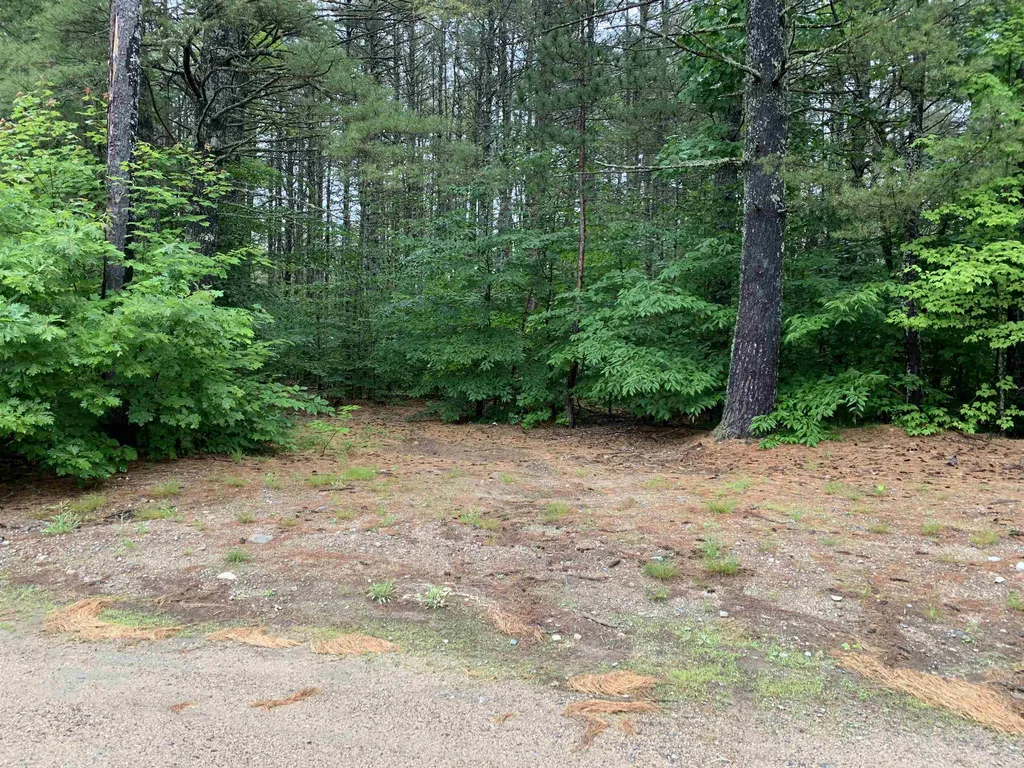 19 Leisure Drive Ossipee NH 03864