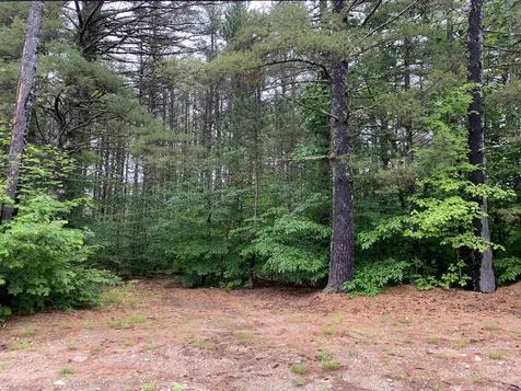 19 Leisure Drive Ossipee NH 03864