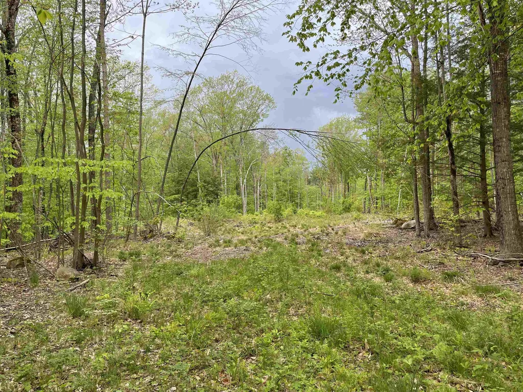 31 Circuit Road Ossipee NH 03864
