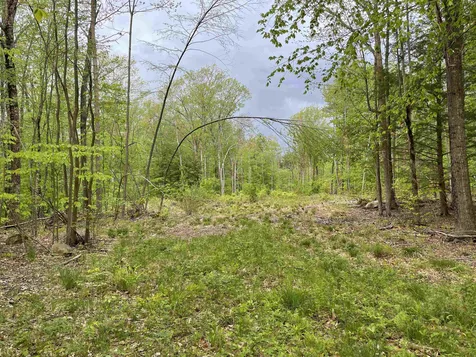 31 Circuit Road Ossipee NH 03864