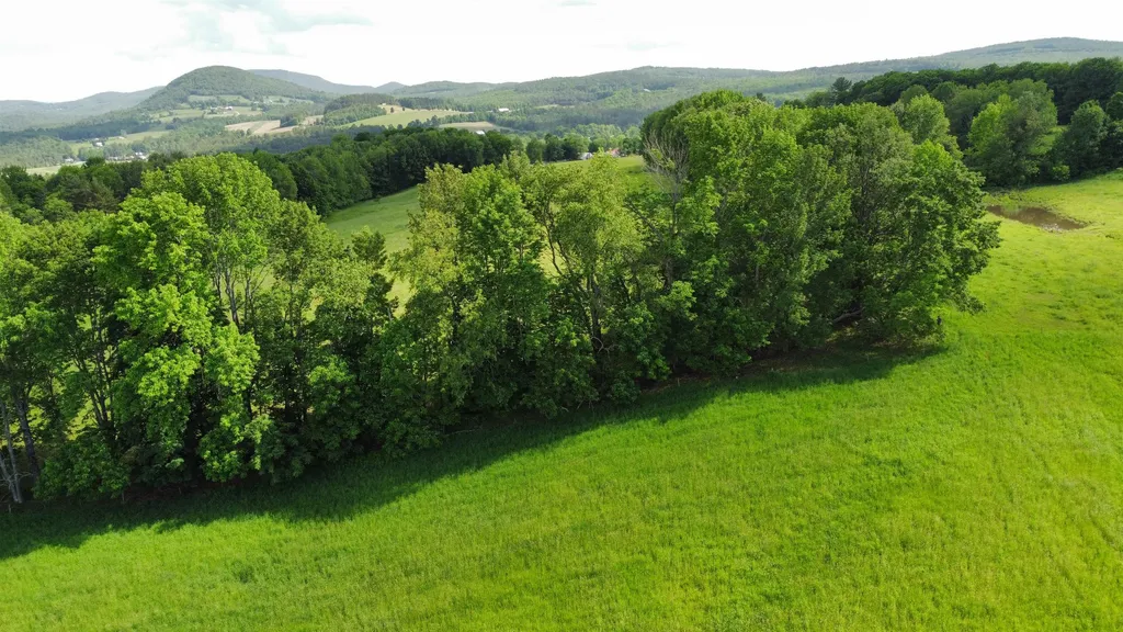 350 Bayley-hazen Road Peacham VT 05862