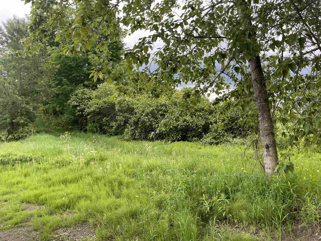 350 Bayley-hazen Road Peacham VT 05862