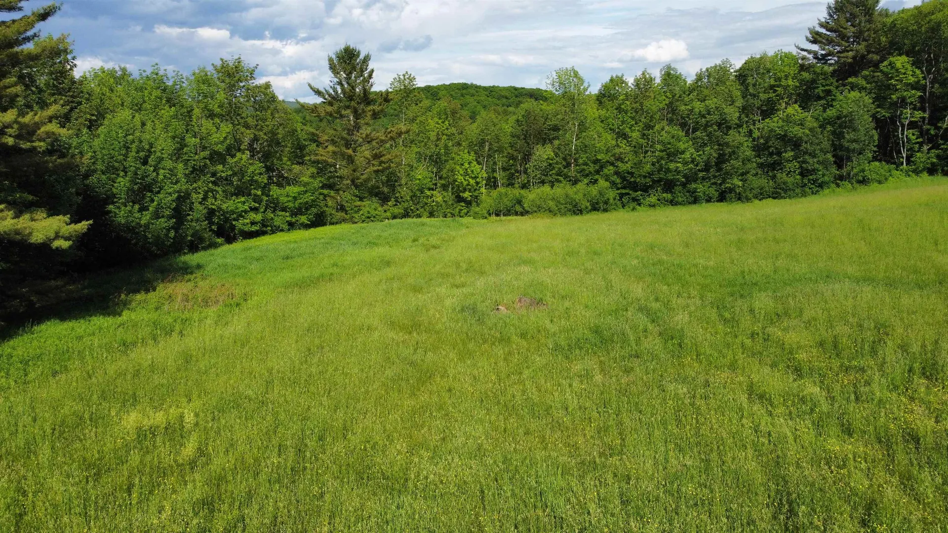 350 Bayley-hazen Road Peacham VT 05862