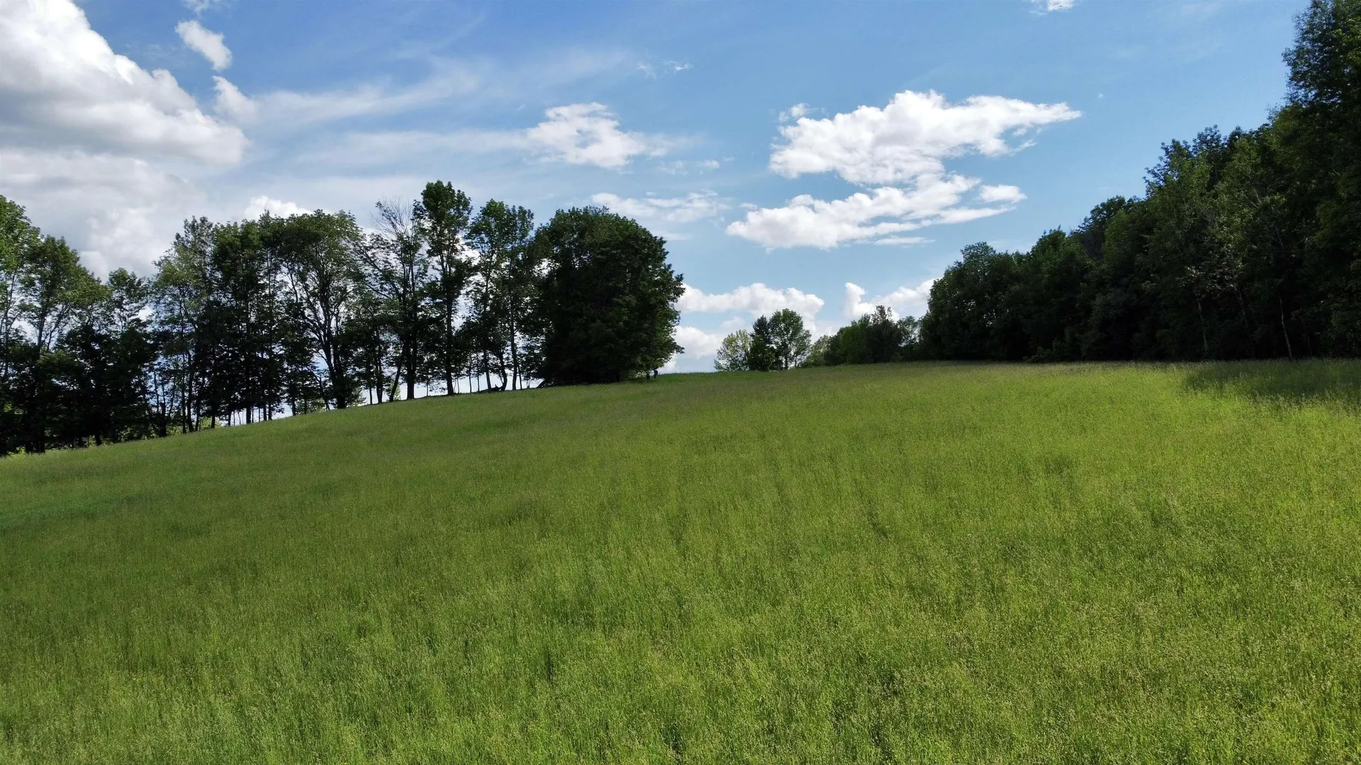 350 Bayley-hazen Road Peacham VT 05862