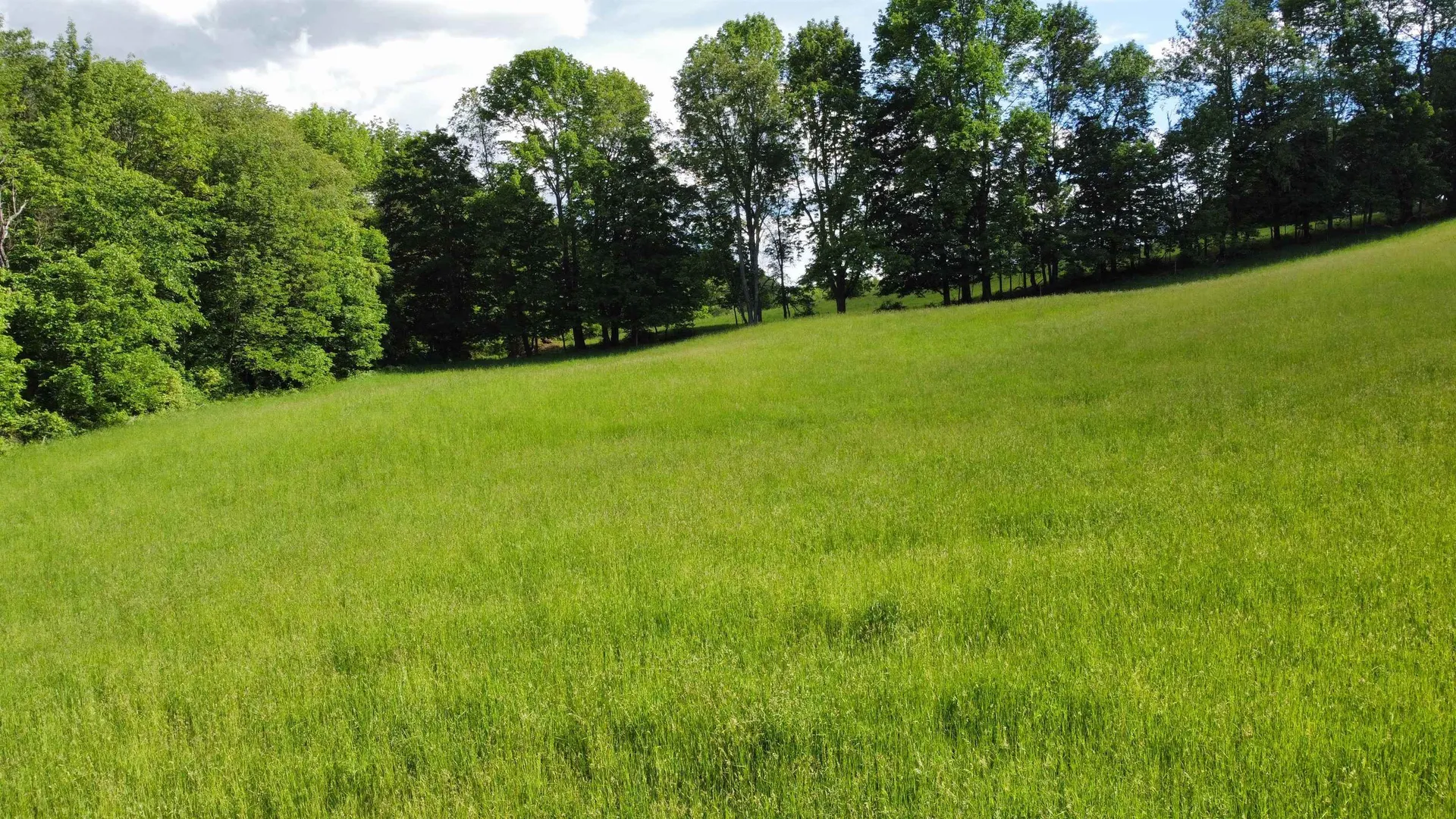350 Bayley-hazen Road Peacham VT 05862