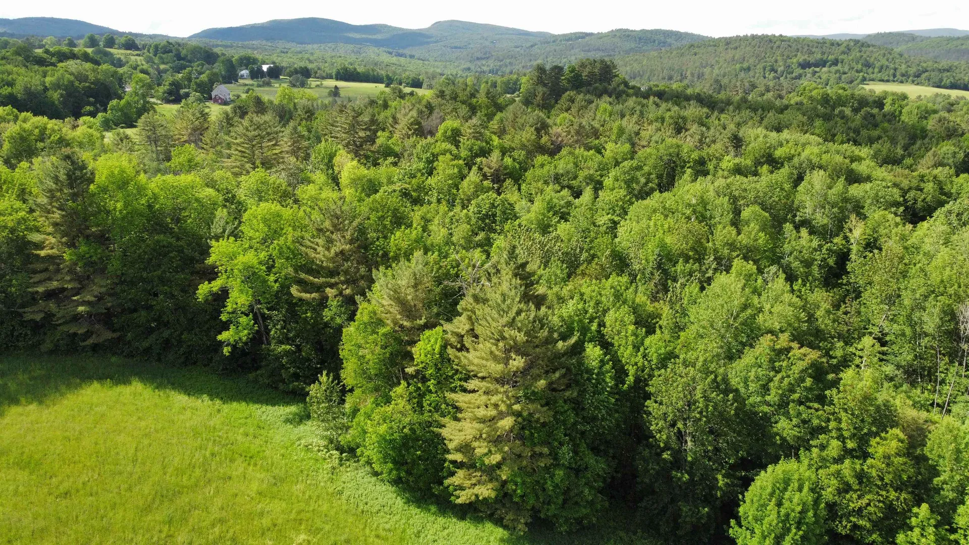 350 Bayley-hazen Road Peacham VT 05862