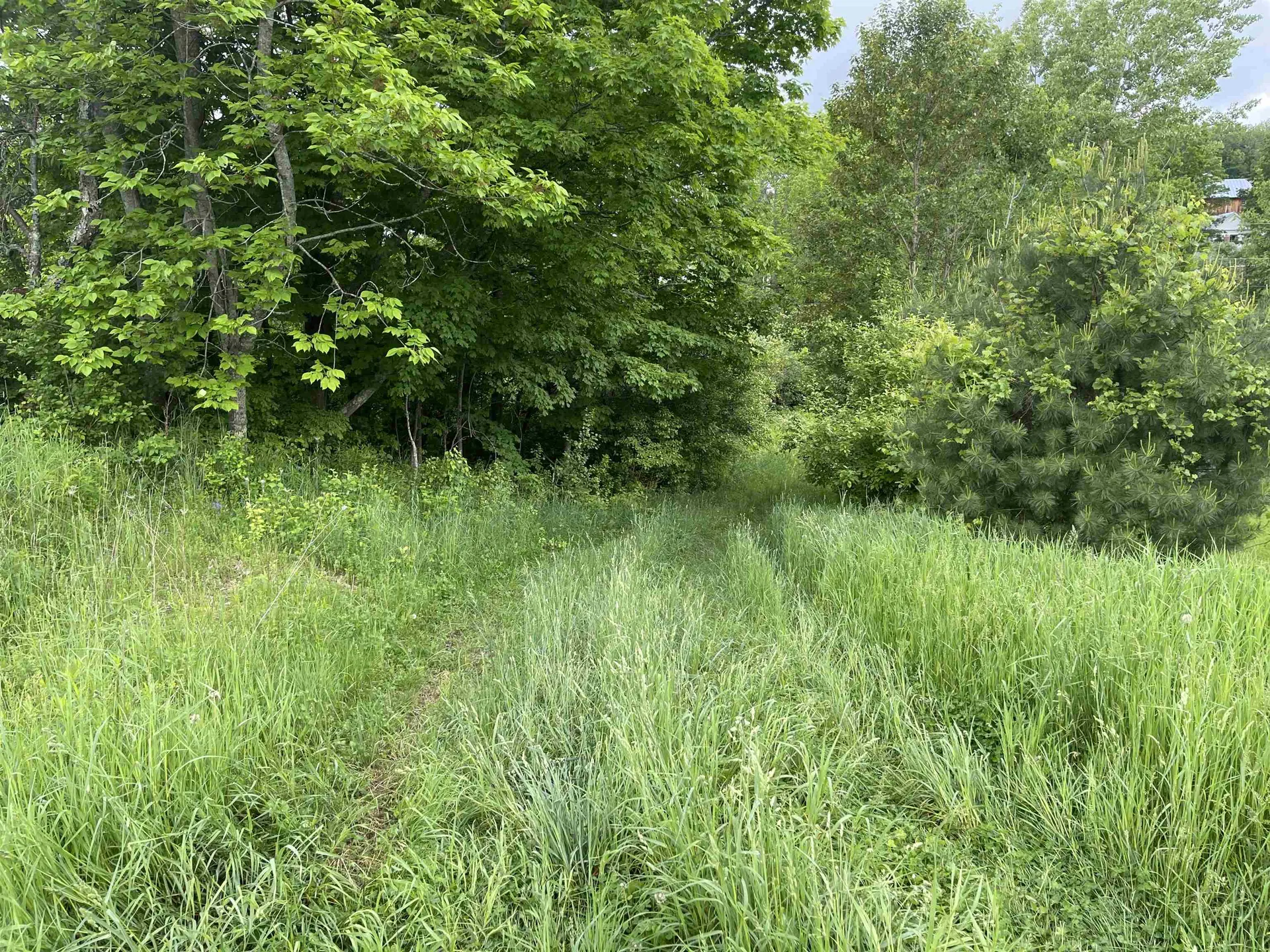 350 Bayley-hazen Road Peacham VT 05862