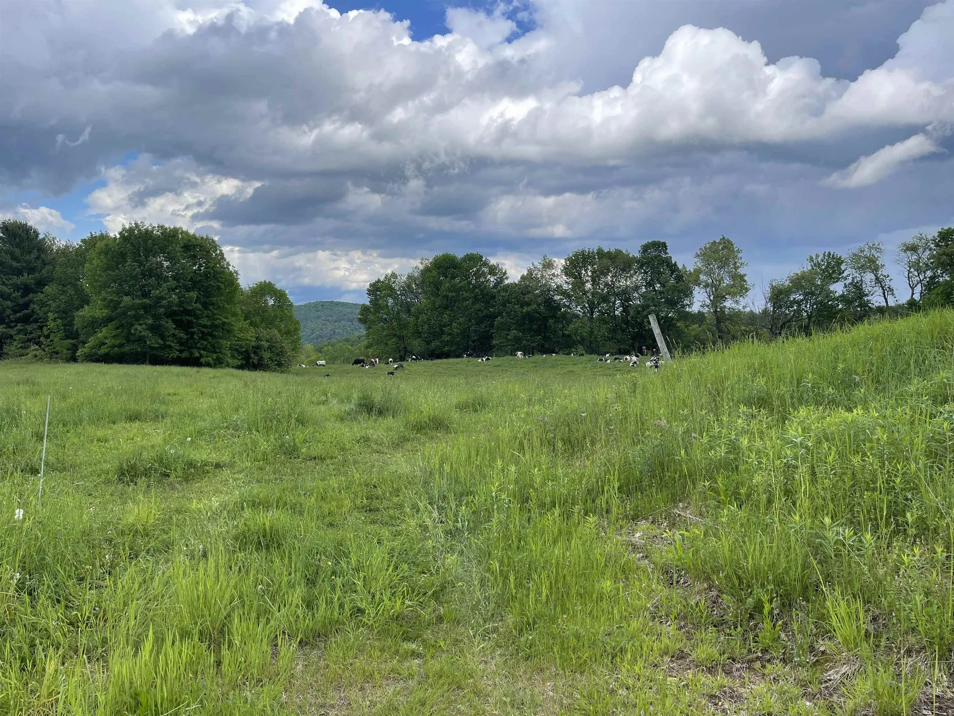 350 Bayley-hazen Road Peacham VT 05862