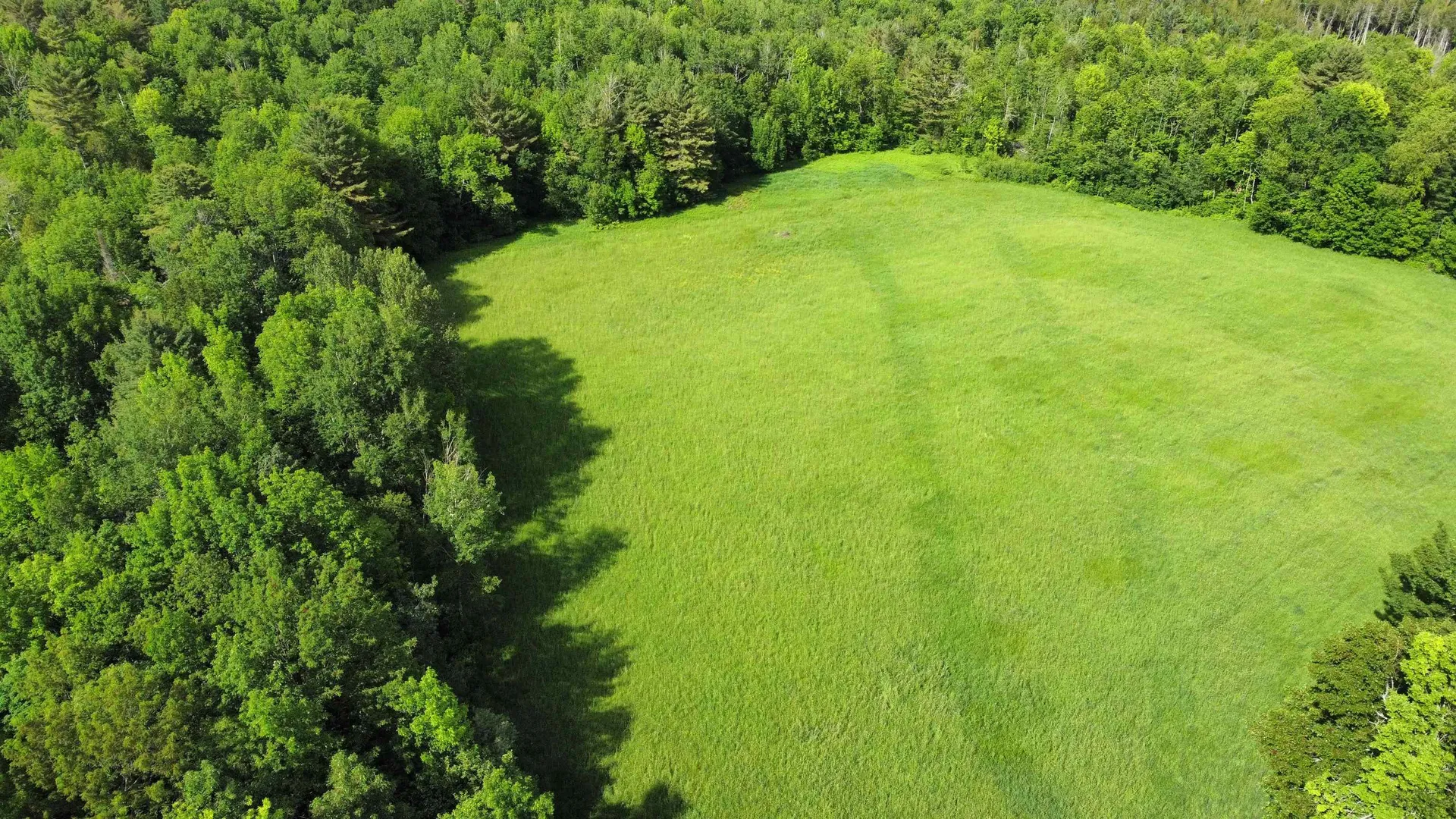 350 Bayley-hazen Road Peacham VT 05862