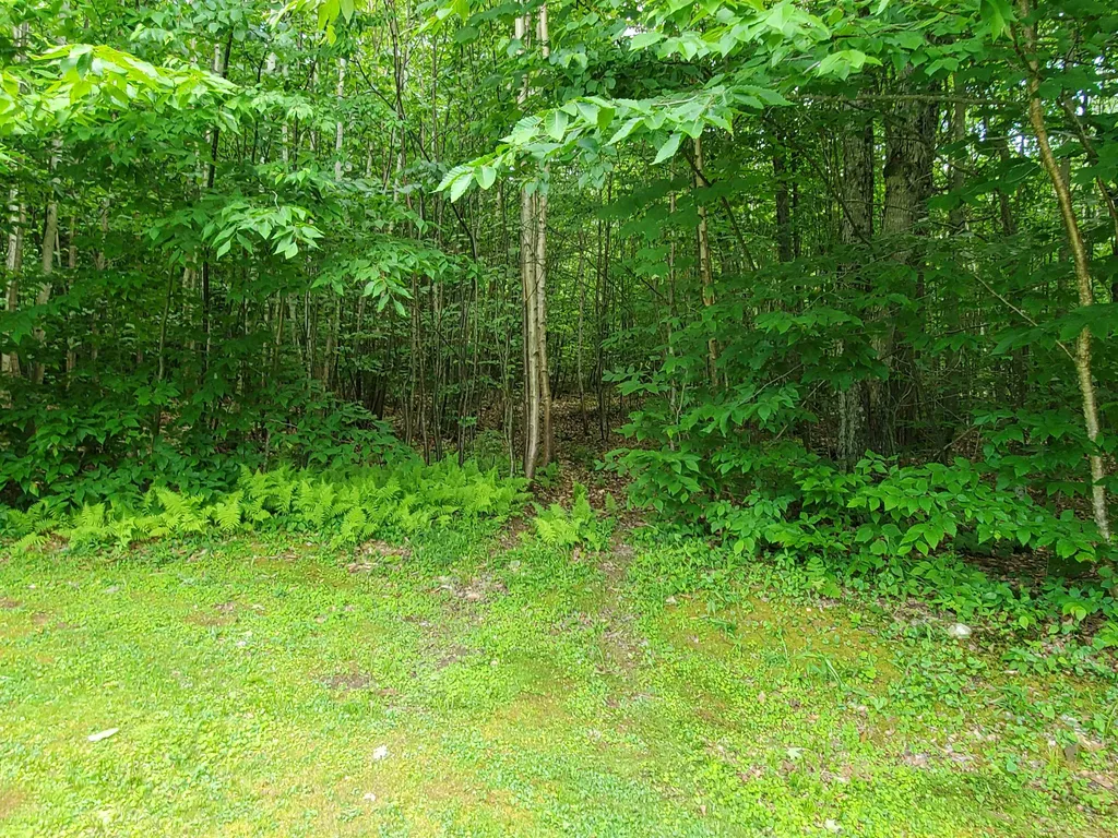 559 Fernwood Farms Road Canaan NH 03741