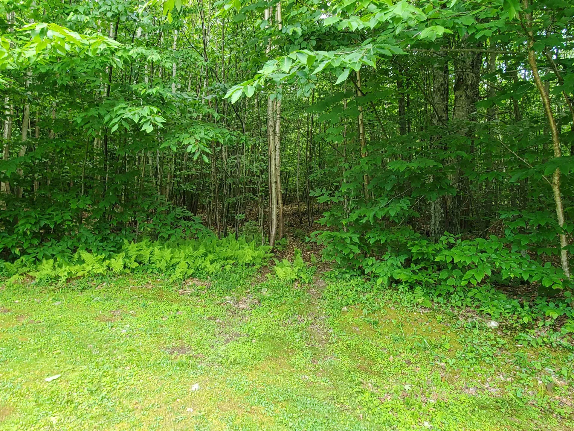 559 Fernwood Farms Road Canaan NH 03741