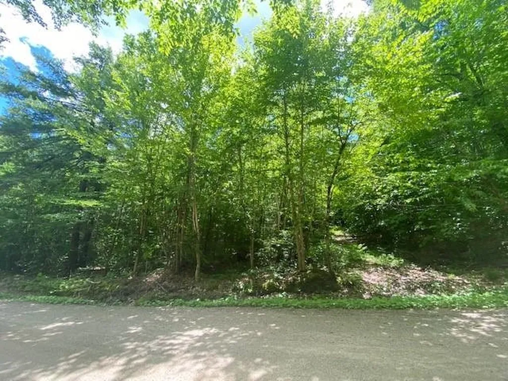 34 Appenvel Way Madison NH 03849