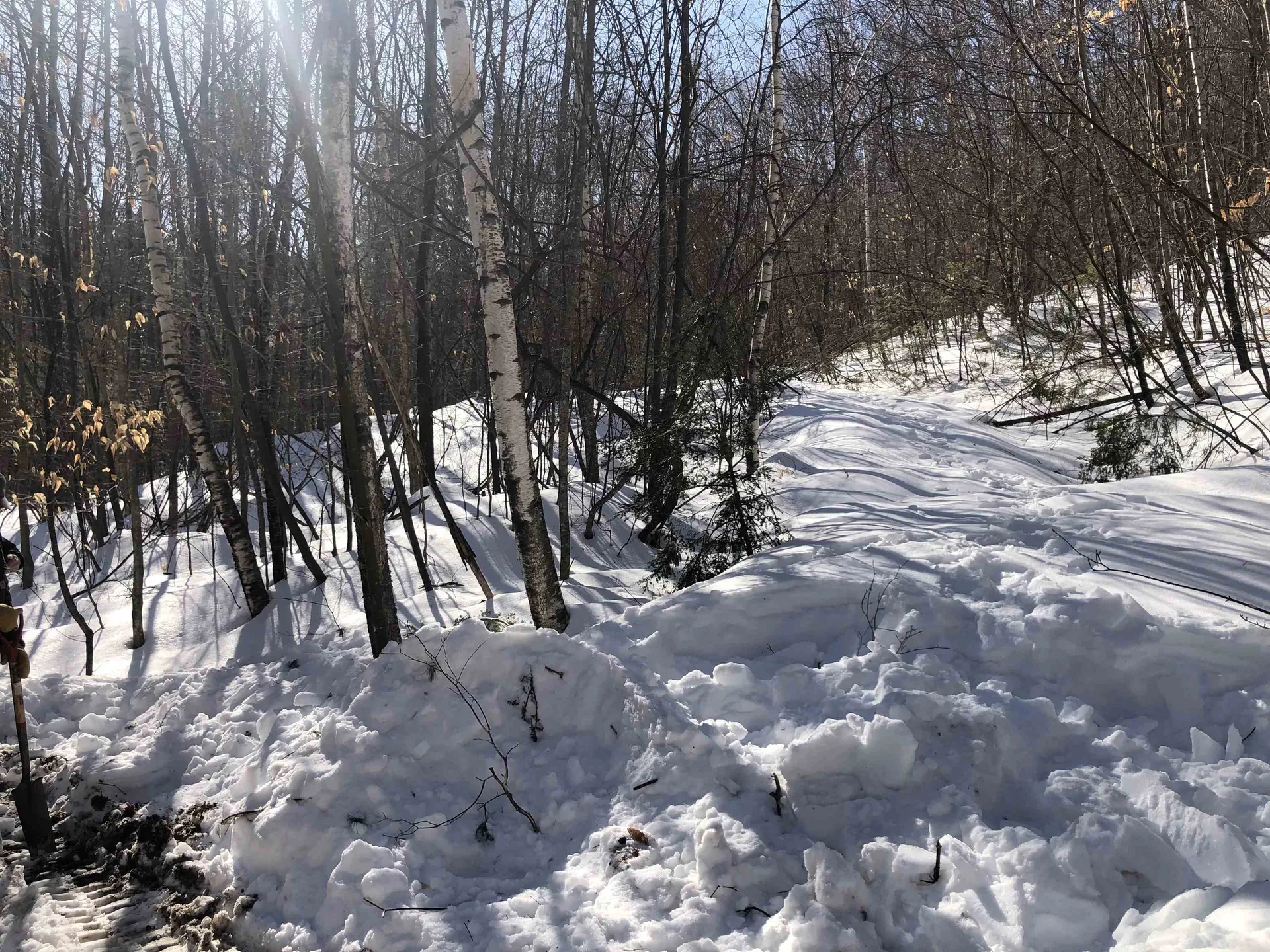 34 Appenvel Way Madison NH 03849