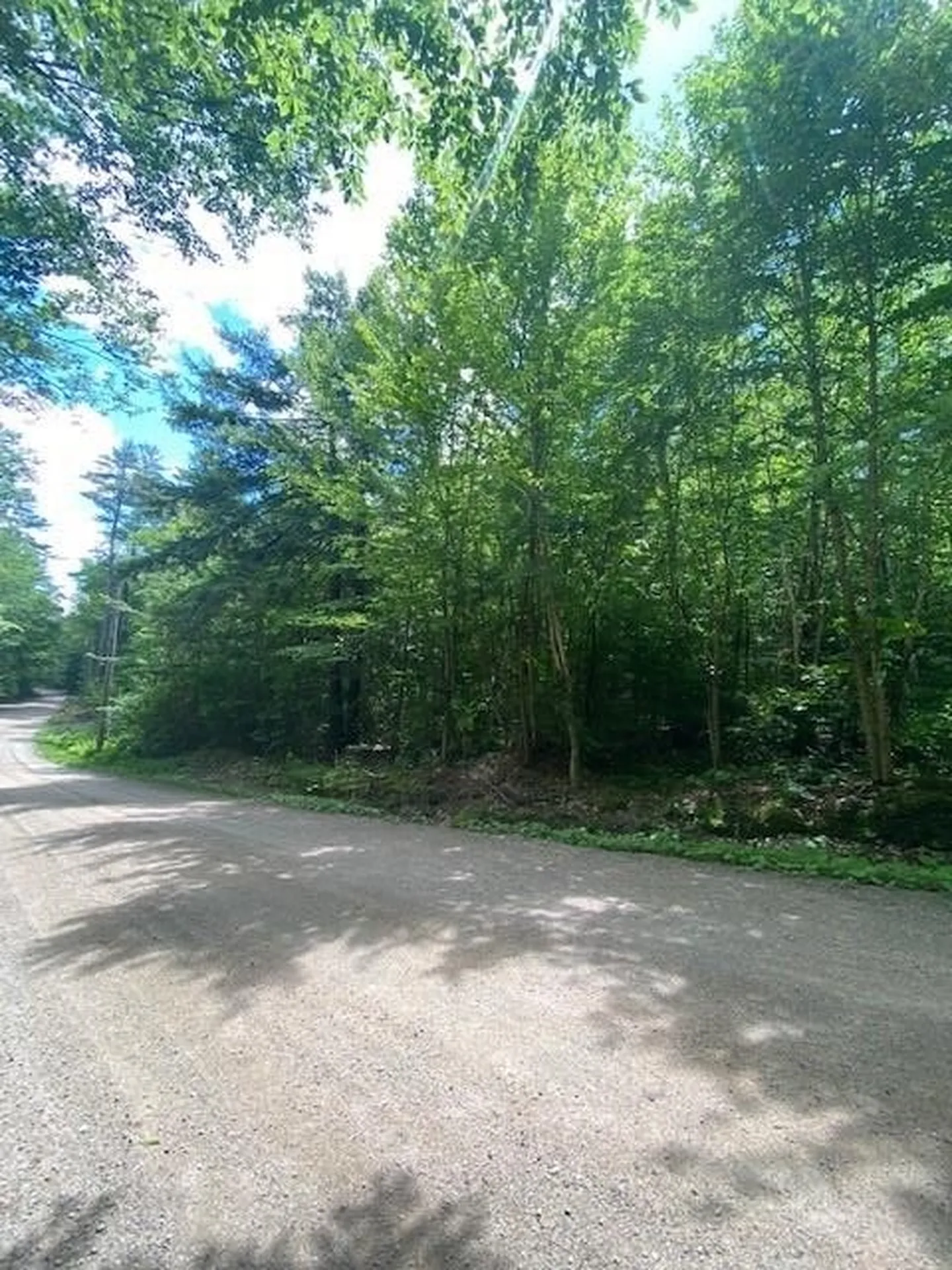 34 Appenvel Way Madison NH 03849