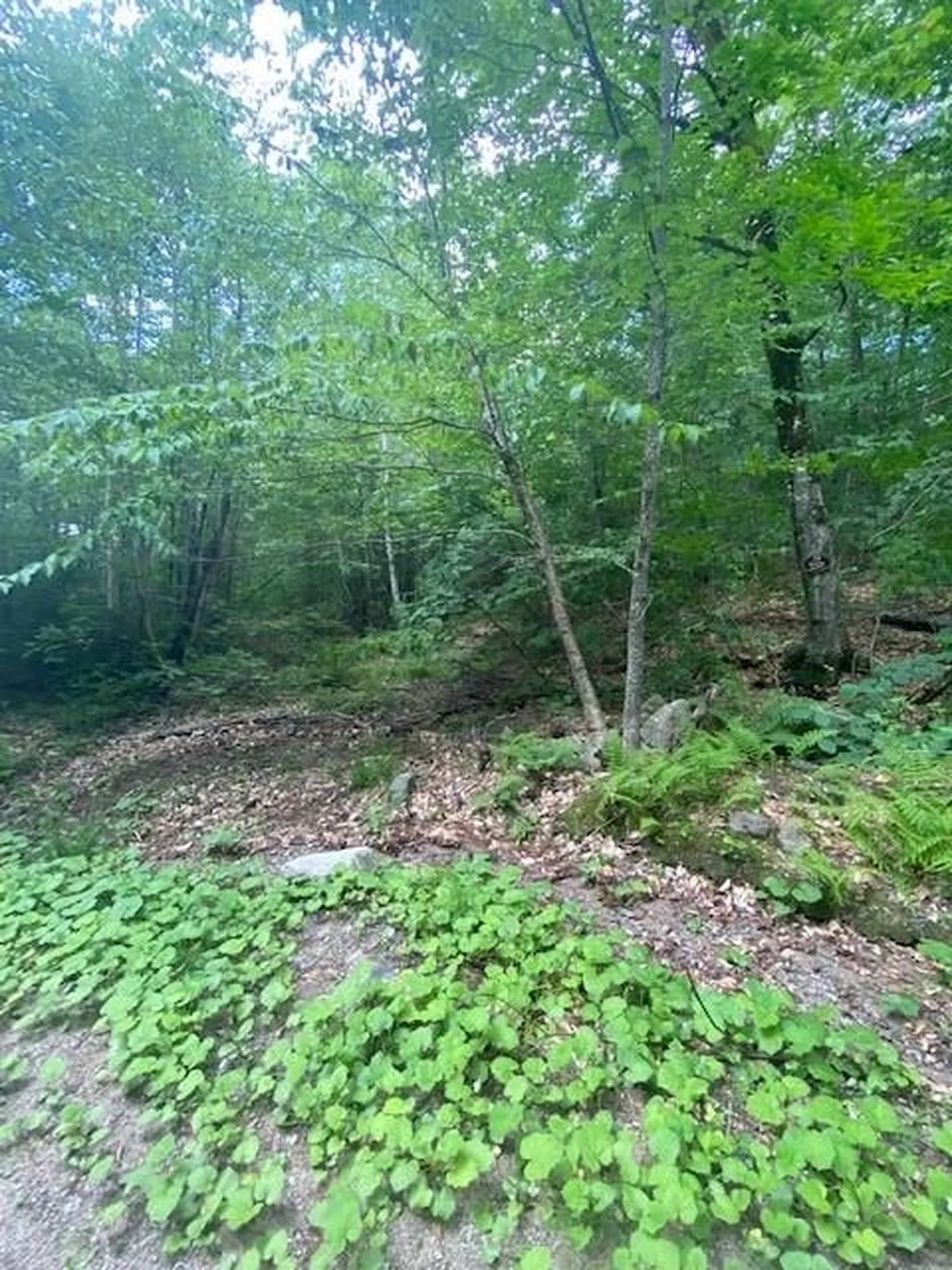 34 Appenvel Way Madison NH 03849