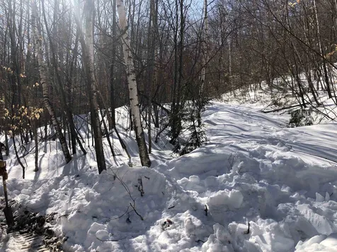 34 Appenvel Way Madison NH 03849