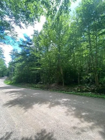 34 Appenvel Way Madison NH 03849