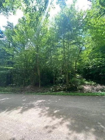 34 Appenvel Way Madison NH 03849
