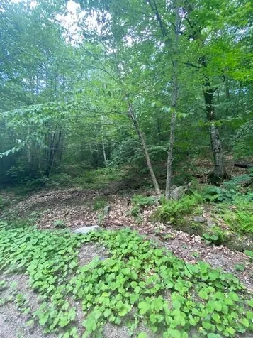 34 Appenvel Way Madison NH 03849