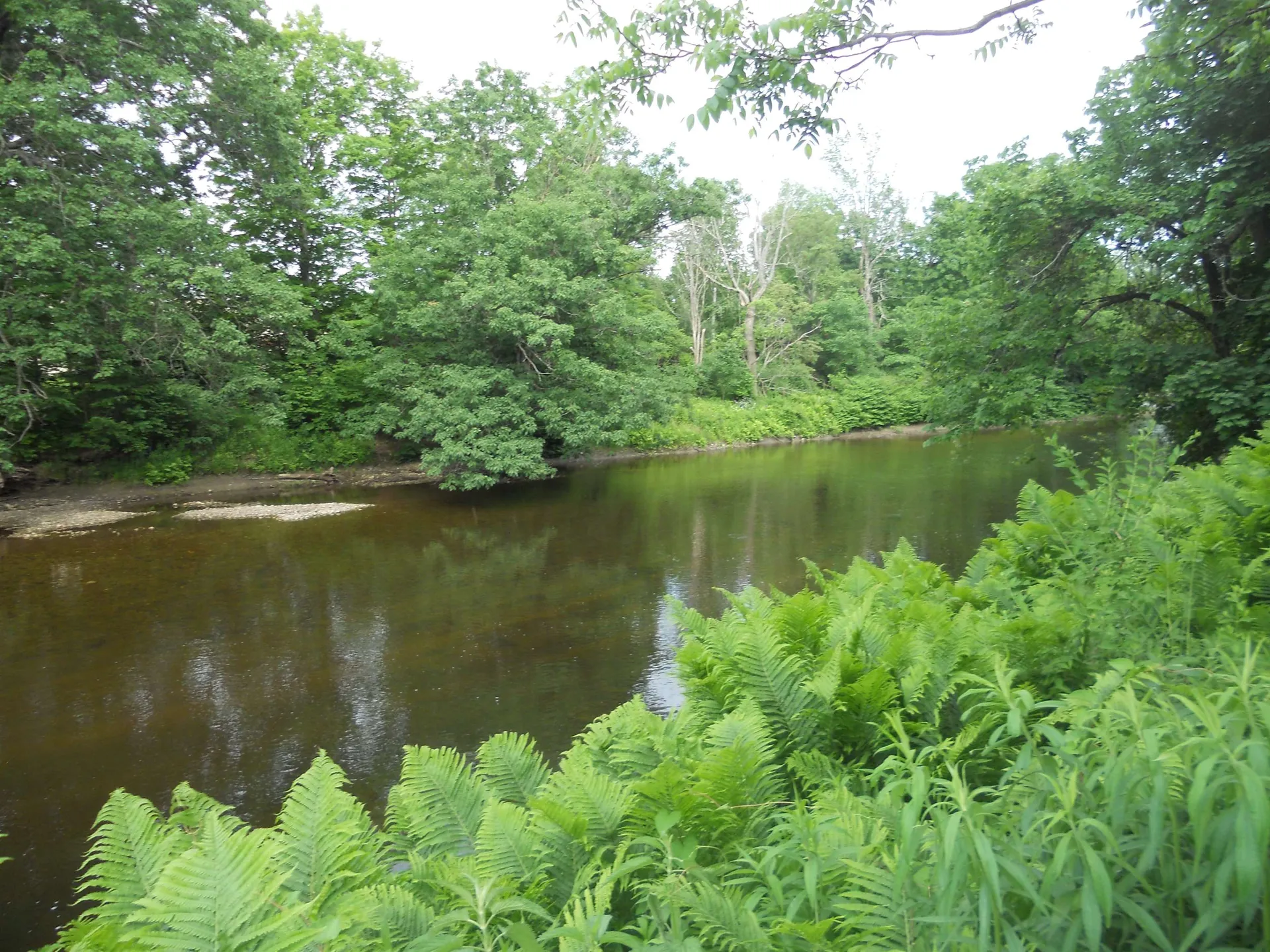 266 Chestnut Street Claremont NH 03743